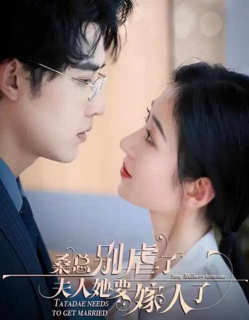 山海人家 热播剧全集免费看
